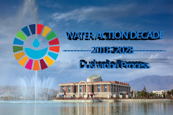 Душанбинский водный процесс: укрепление совместных усилий и поддержка реализации добровольных обязательств